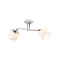 SL3362-2 WT+CR потолочный. светильник АртЛайт