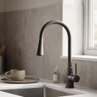 Смеситель Belaqua BL 26-018W  для кухни
