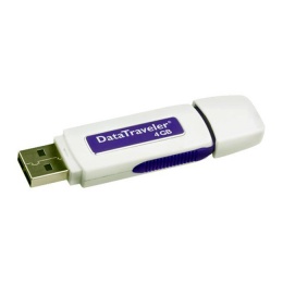 USB  4Gb Kingston
