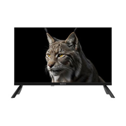 TV Topdevice TDHTV24WHD BK SMART wi-fi